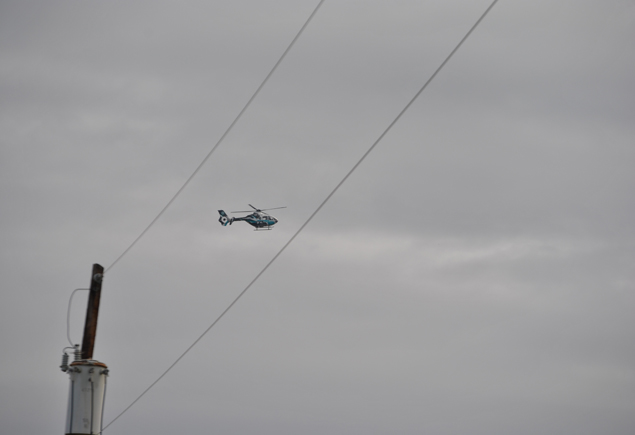 Merry Berry Christmas Festival Parade 2012