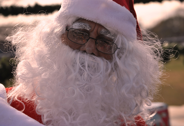 Merry Berry Christmas Festival Parade 2012