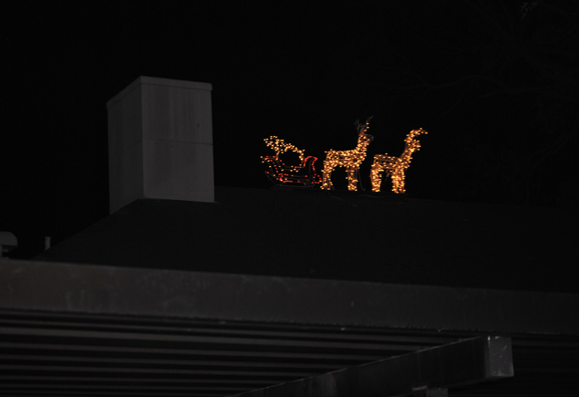 Merry Berry Chrsimas Festival Lighting Ceremony