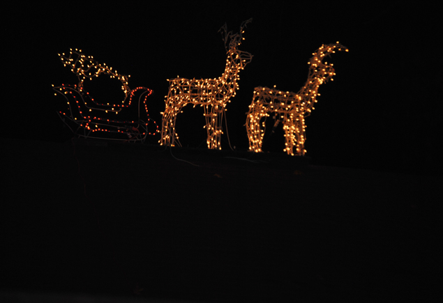 Merry Berry Chrsimas Festival Lighting Ceremony