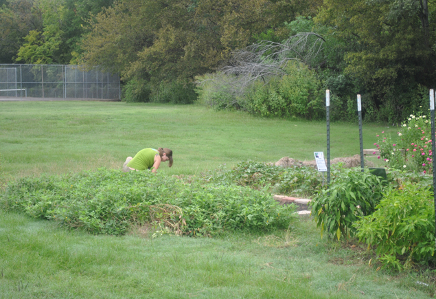 Valencia Community Garden Fall Planting Day 2012