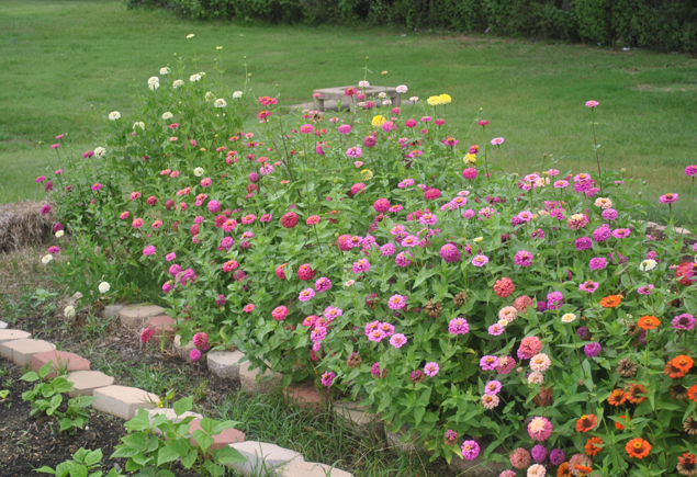 Valencia Community Garden Fall Planting Day 2012