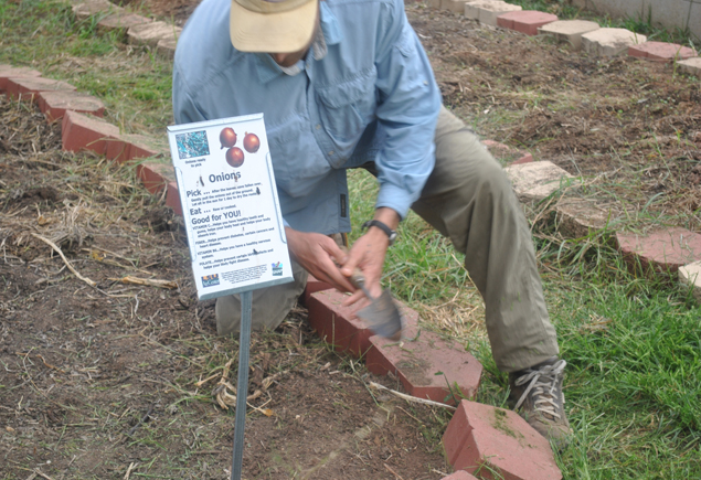 Valencia Community Garden Fall Planting Day 2012