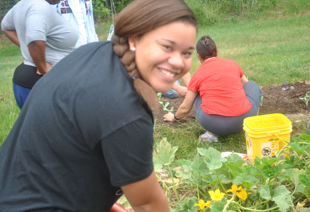 Valencia Community Garden Fall Planting Day 2012