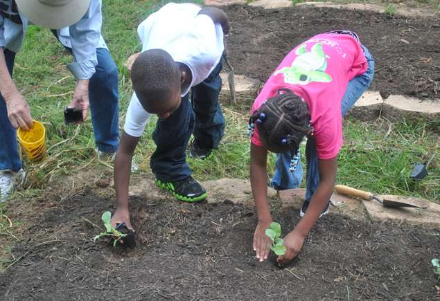 Valencia Community Garden Fall Planting Day 2012