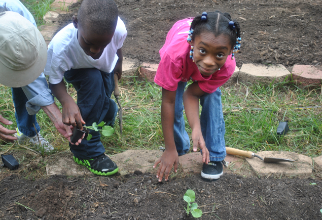Valencia Community Garden Fall Planting Day 2012