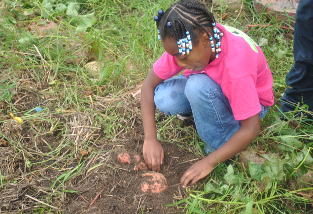 Valencia Community Garden Fall Planting Day 2012