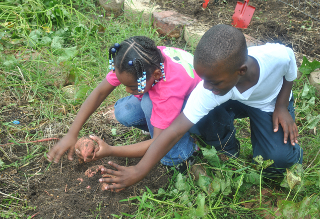 Valencia Community Garden Fall Planting Day 2012