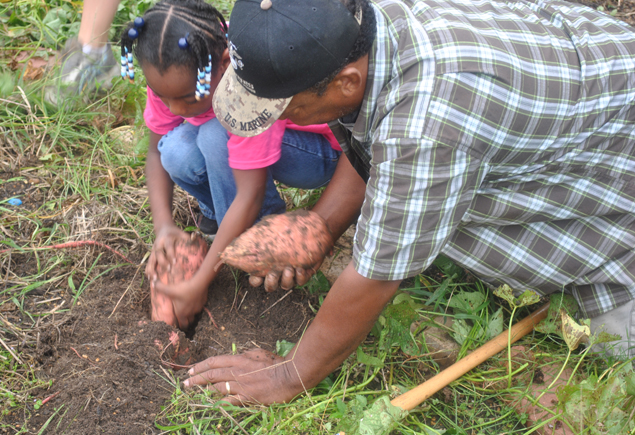 Valencia Community Garden Fall Planting Day 2012