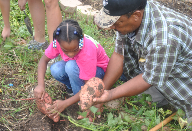 Valencia Community Garden Fall Planting Day 2012