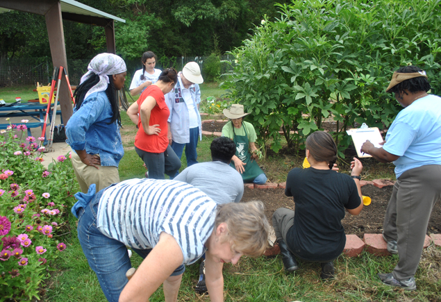 Valencia Community Garden Fall Planting Day 2012