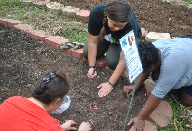 Valencia Community Garden Fall Planting Day 2012