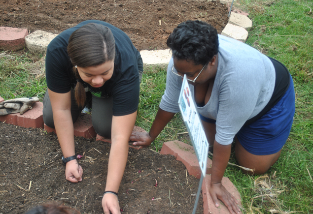 Valencia Community Garden Fall Planting Day 2012