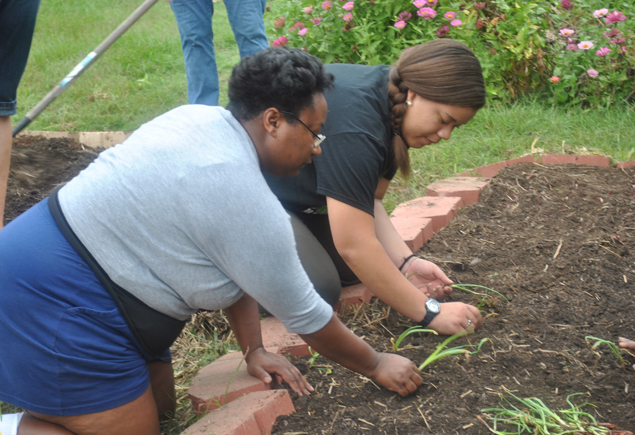 Valencia Community Garden Fall Planting Day 2012