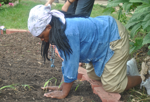 Valencia Community Garden Fall Planting Day 2012