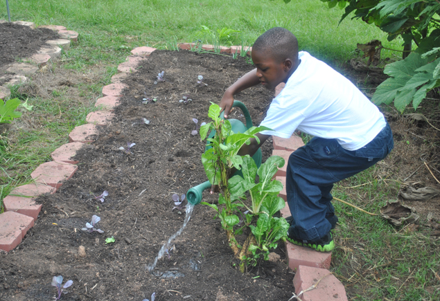 Valencia Community Garden Fall Planting Day 2012