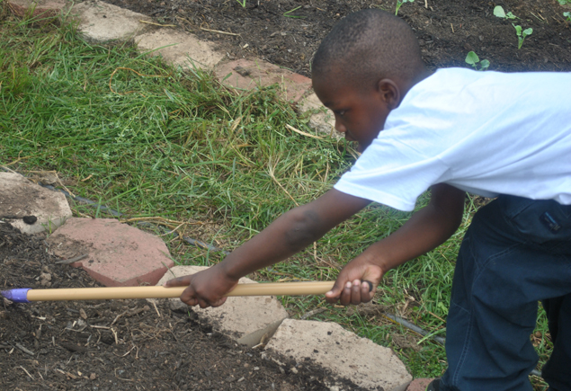 Valencia Community Garden Fall Planting Day 2012