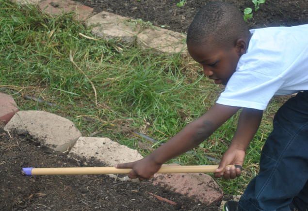 Valencia Community Garden Fall Planting Day 2012