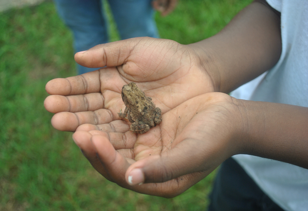Valencia Community Garden Fall Planting Day 2012