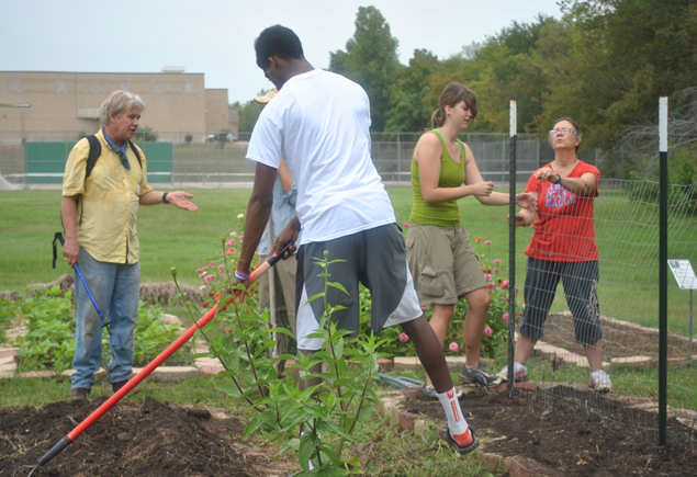 Valencia Community Garden Fall Planting Day 2012