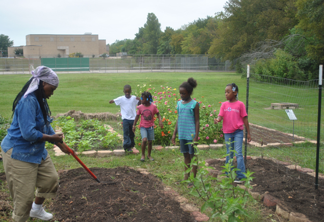 Valencia Community Garden Fall Planting Day 2012