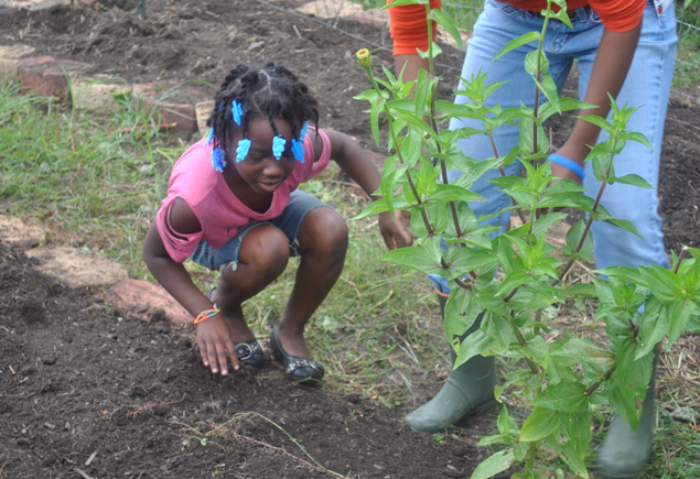 Valencia Community Garden Fall Planting Day 2012