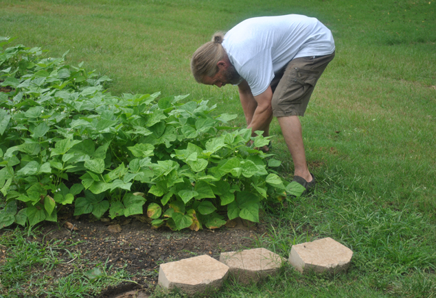 Valencia Community Garden Fall Planting Day 2012