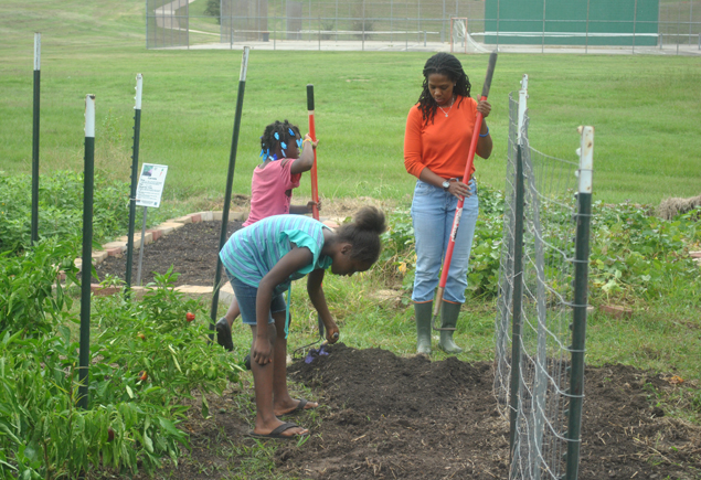 Valencia Community Garden Fall Planting Day 2012