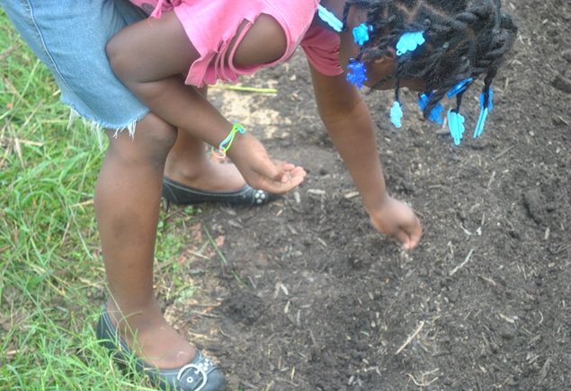 Valencia Community Garden Fall Planting Day 2012