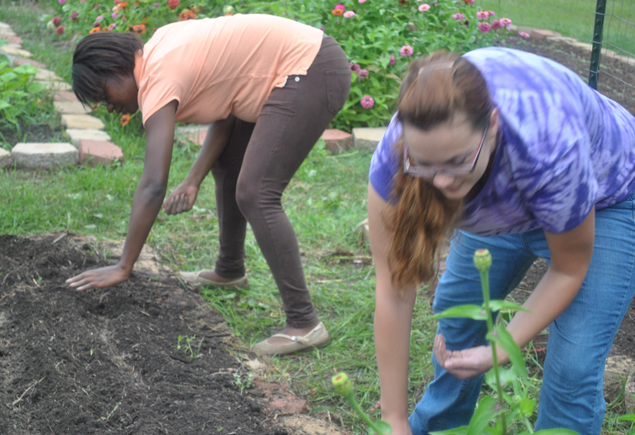 Valencia Community Garden Fall Planting Day 2012