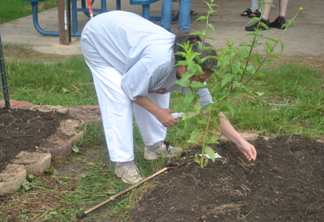 Valencia Community Garden Fall Planting Day 2012