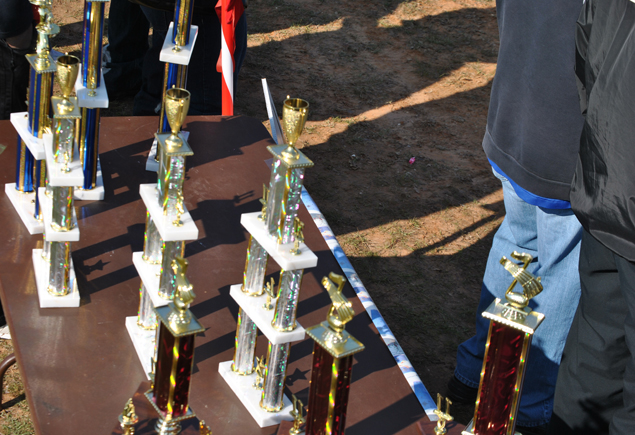 Merry Berry Christmas Festival Parade